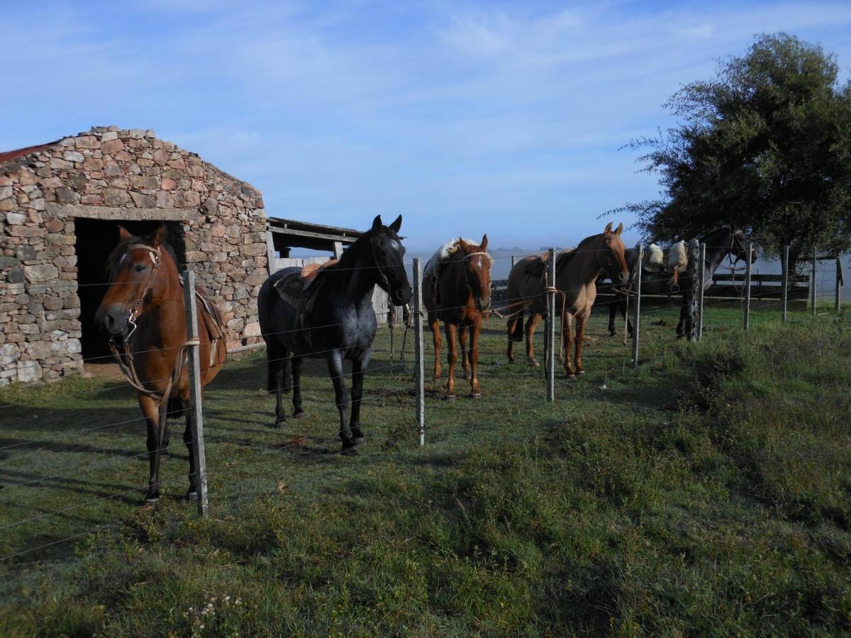 Estancia Los Platanos Valentines Exterior photo
